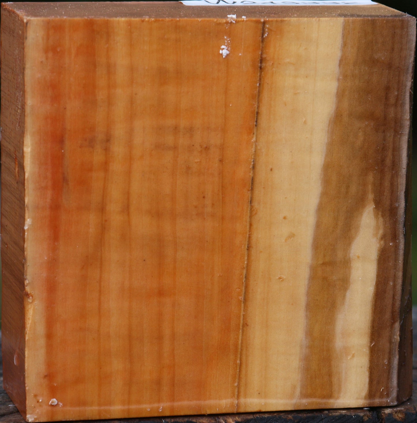 Figured Swiss Pear Bowl Blank