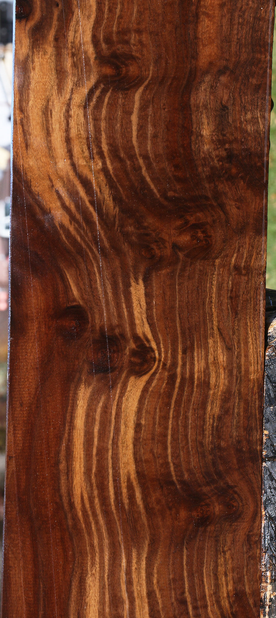 Extra Fancy Claro Walnut Lumber