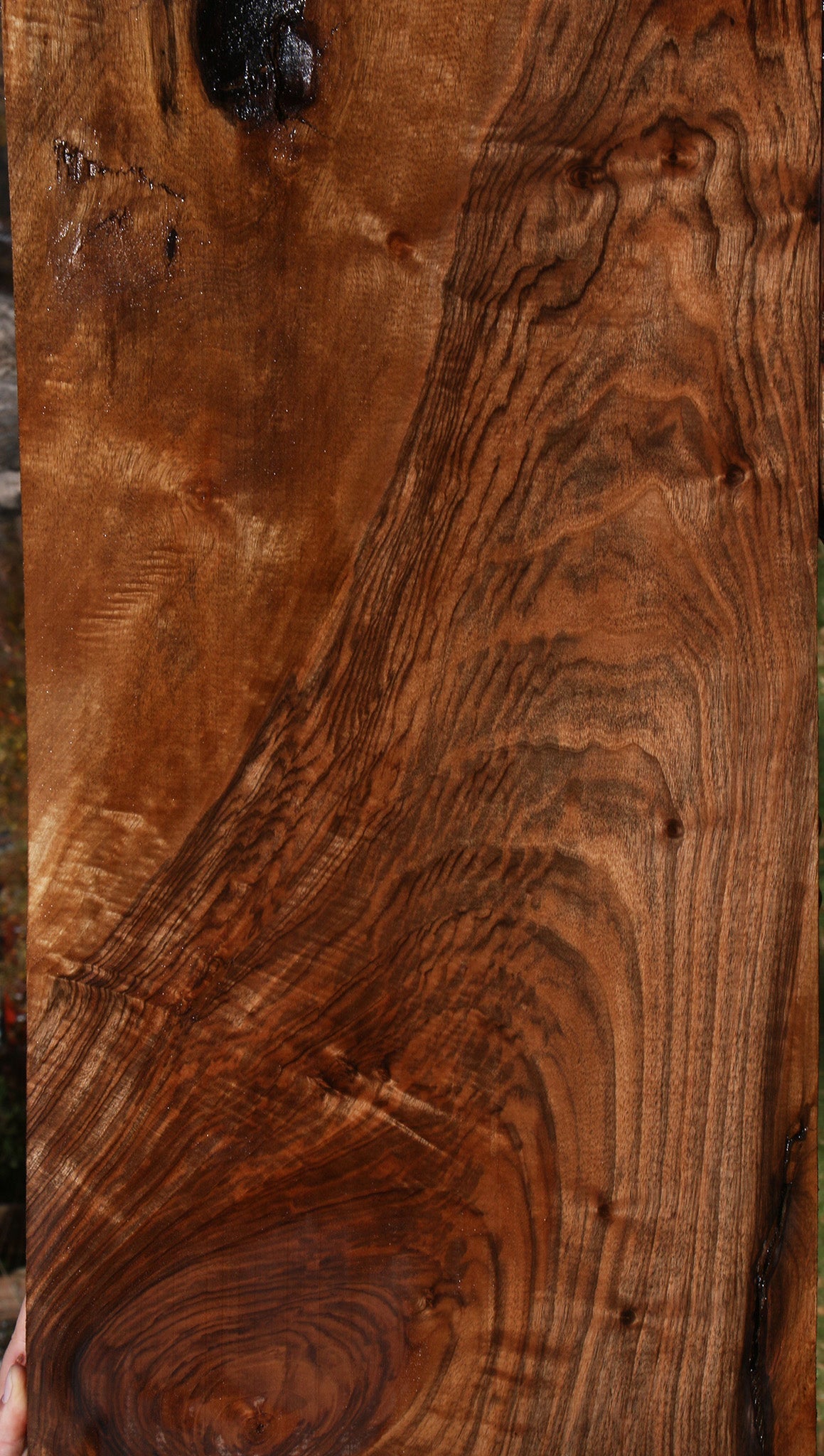 English Walnut Lumber