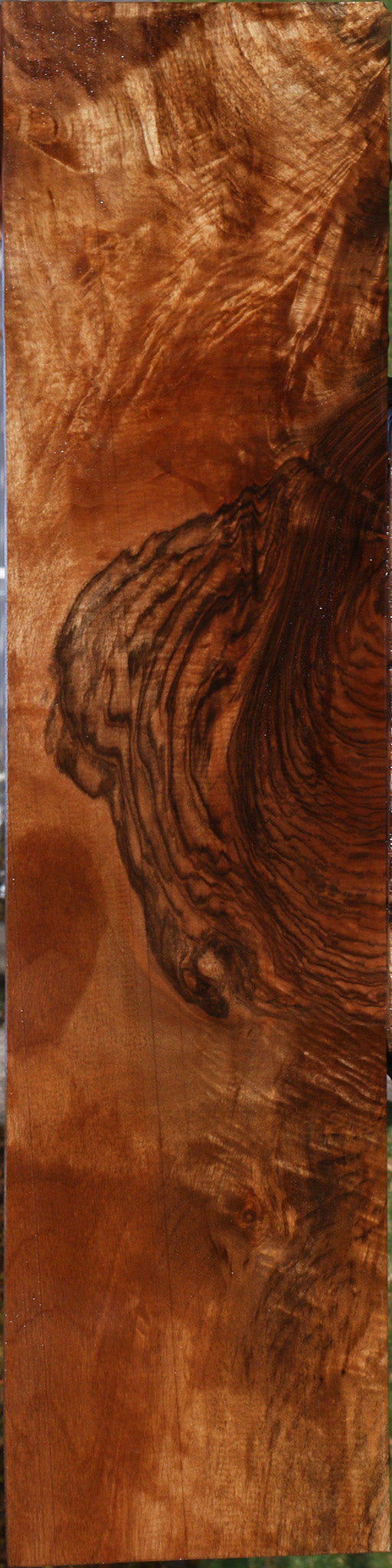 Exhibition English Walnut Instrument Lumber