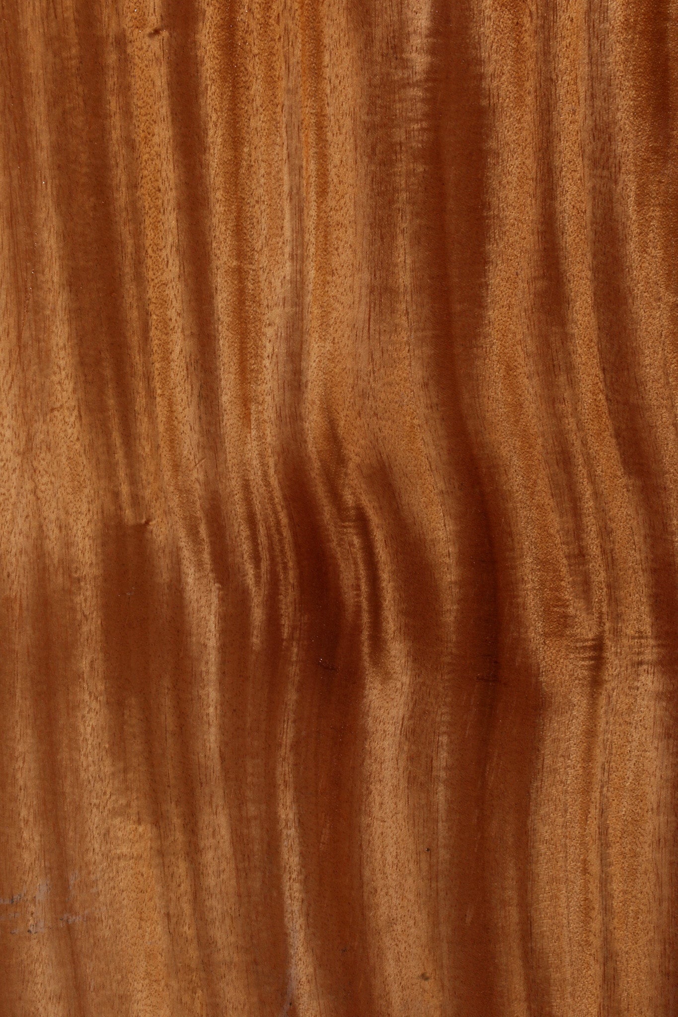 African Mahogany Instrument Lumber