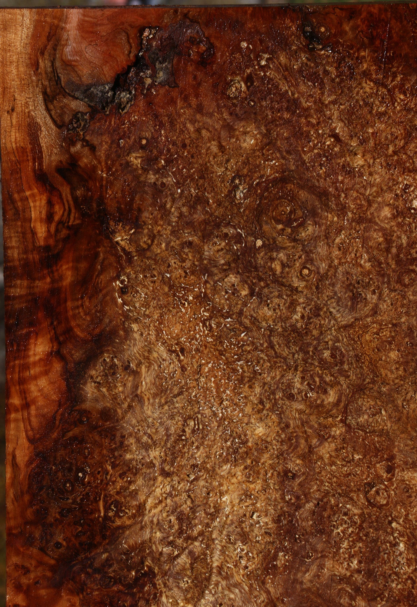 Spalted Maple Burl Lumber