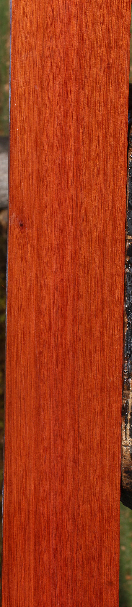 Bloodwood Lumber