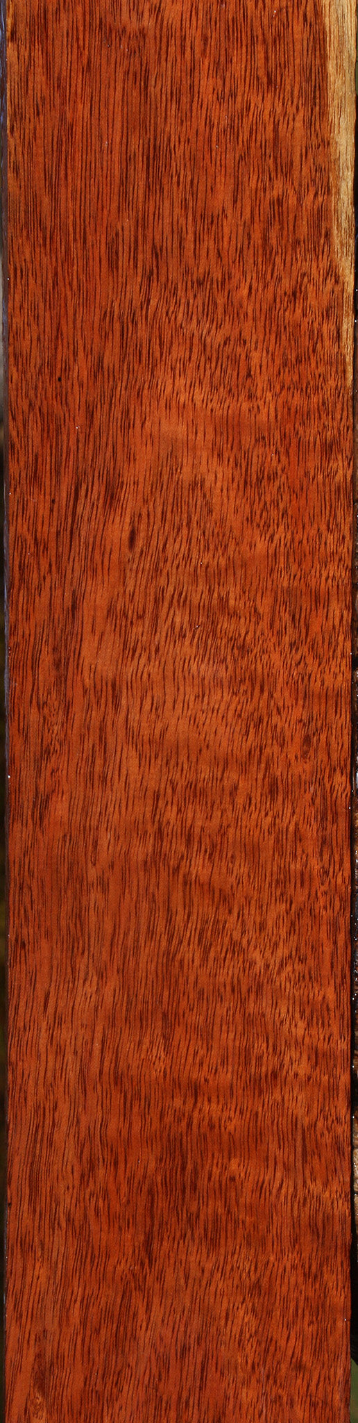 Bloodwood Lumber