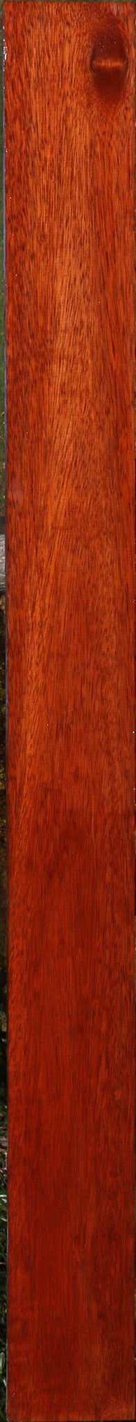 Bloodwood Lumber