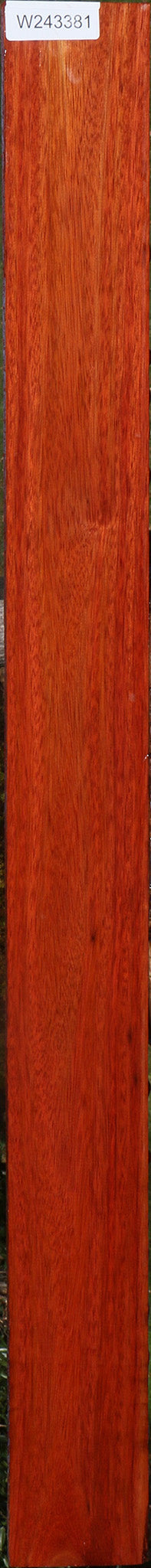 Bloodwood Lumber