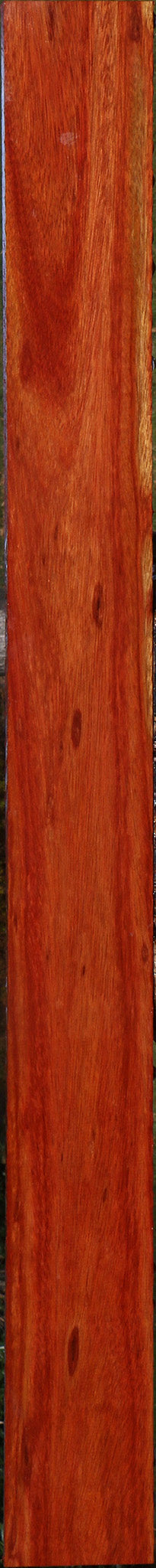Bloodwood Lumber