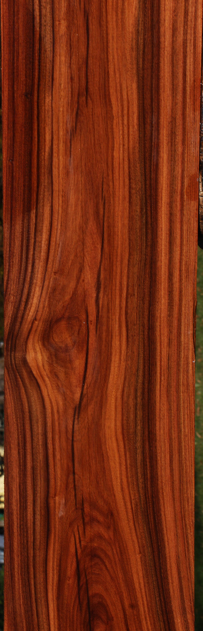 Bolivian Rosewood Lumber