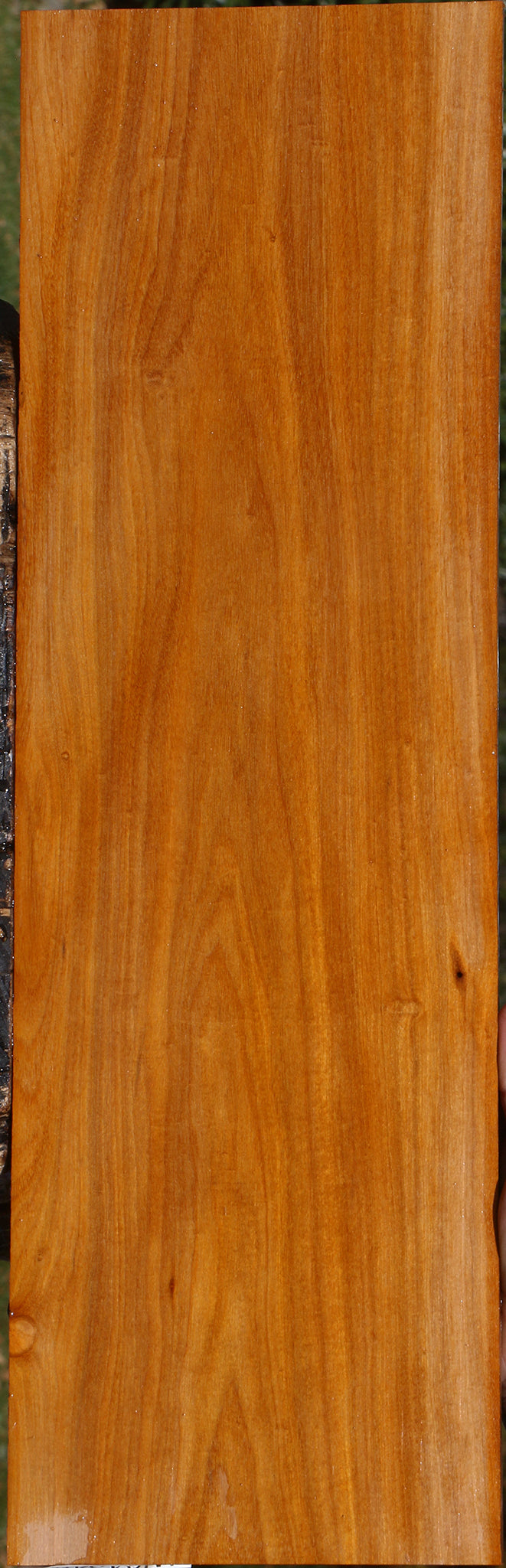 Pernambuco Micro Lumber