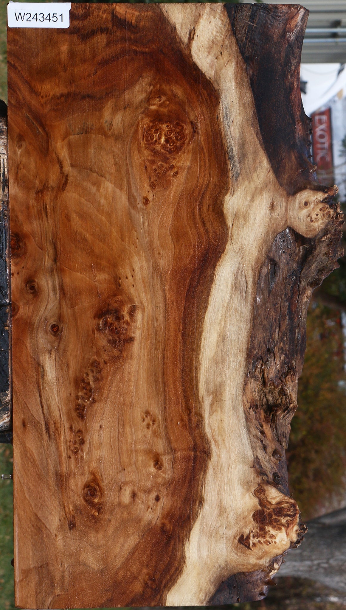 Extra Fancy California Cottonwood Burl Live Edge Lumber
