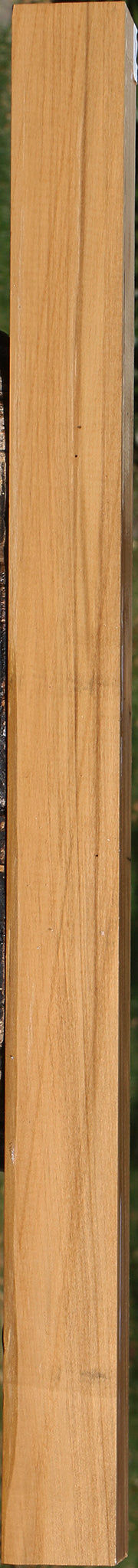 Castello Boxwood Turning Blank