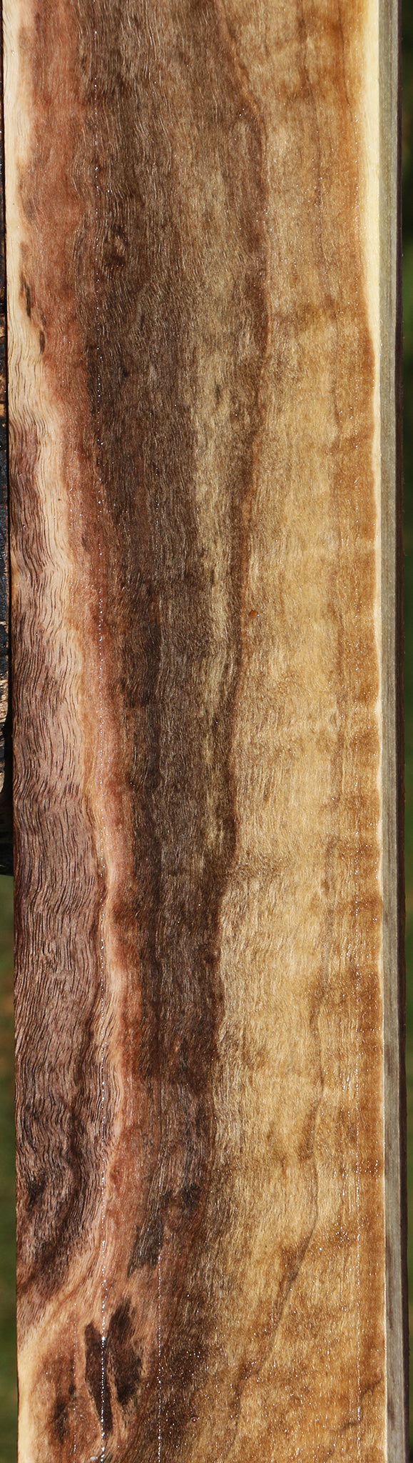 Extra Fancy Claro Walnut Lumber
