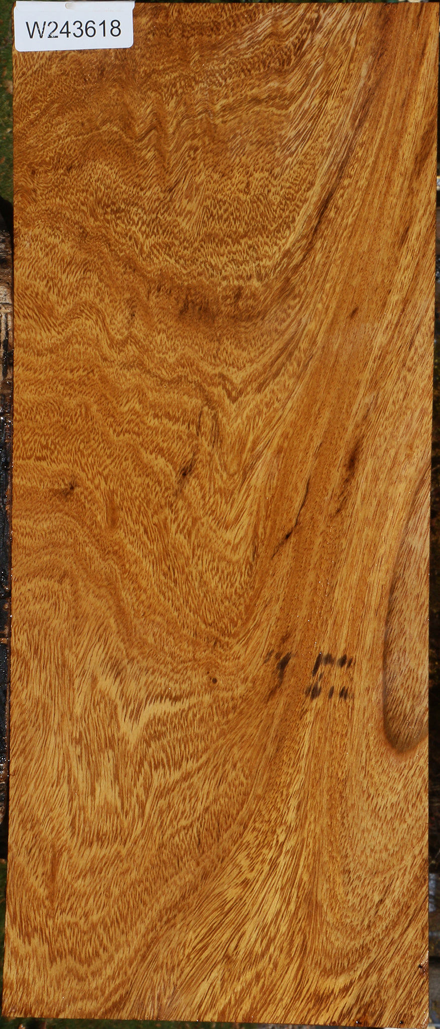 Figured Cerejeira Instrument Lumber