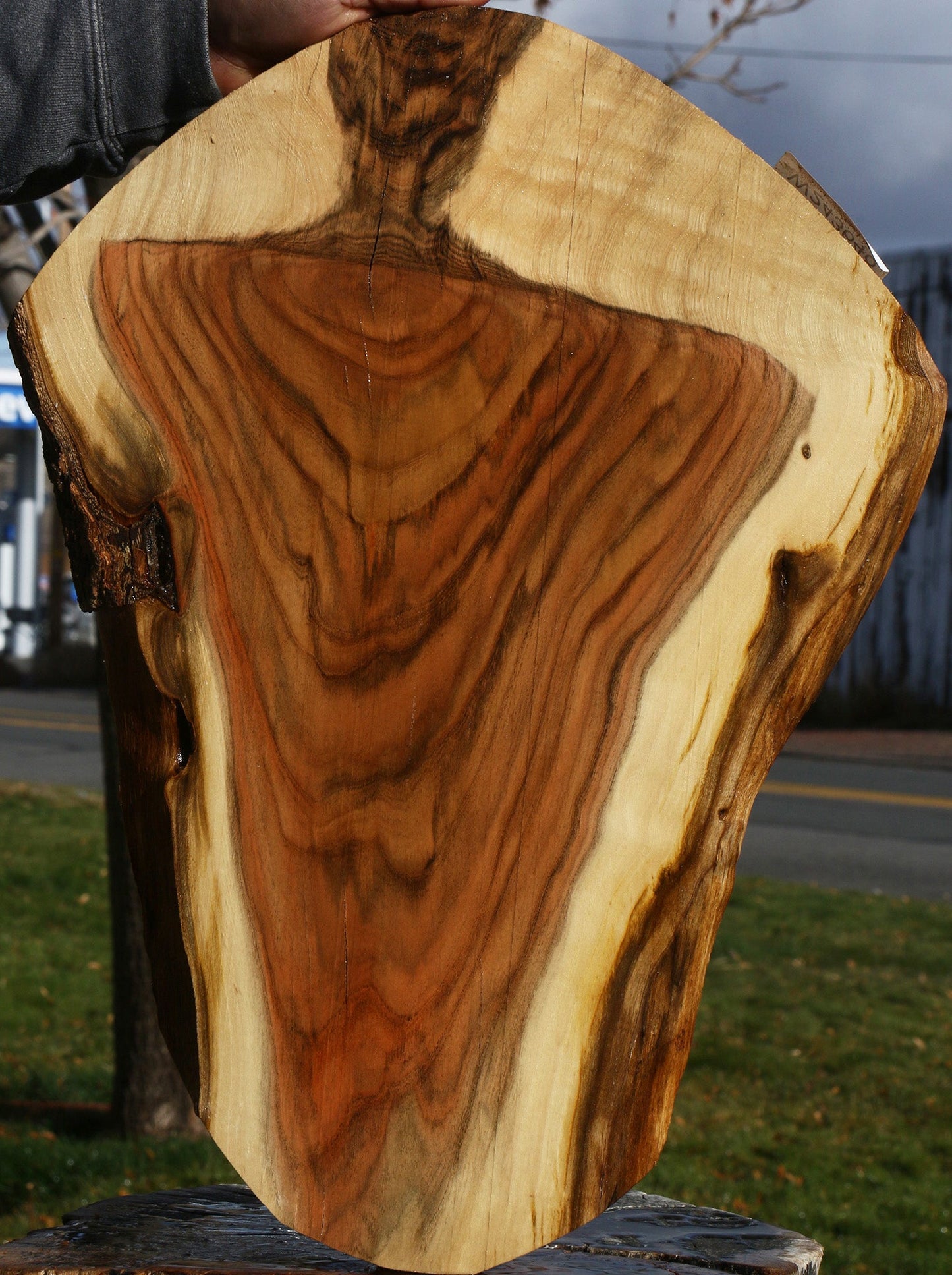 Extra Fancy Grafted Pistachio Live Edge Lumber