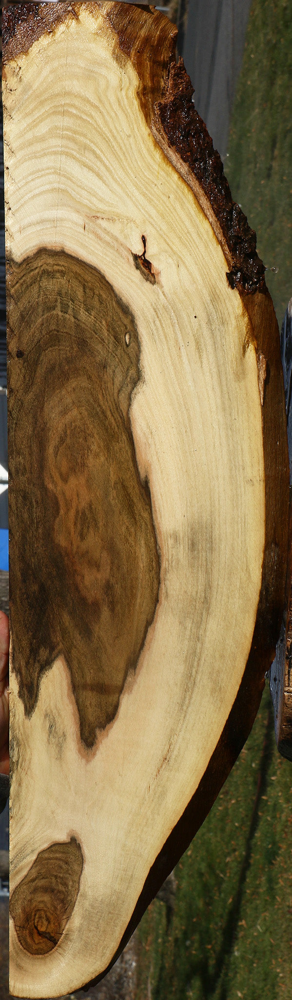 Extra Fancy Pistachio Live Edge Lumber