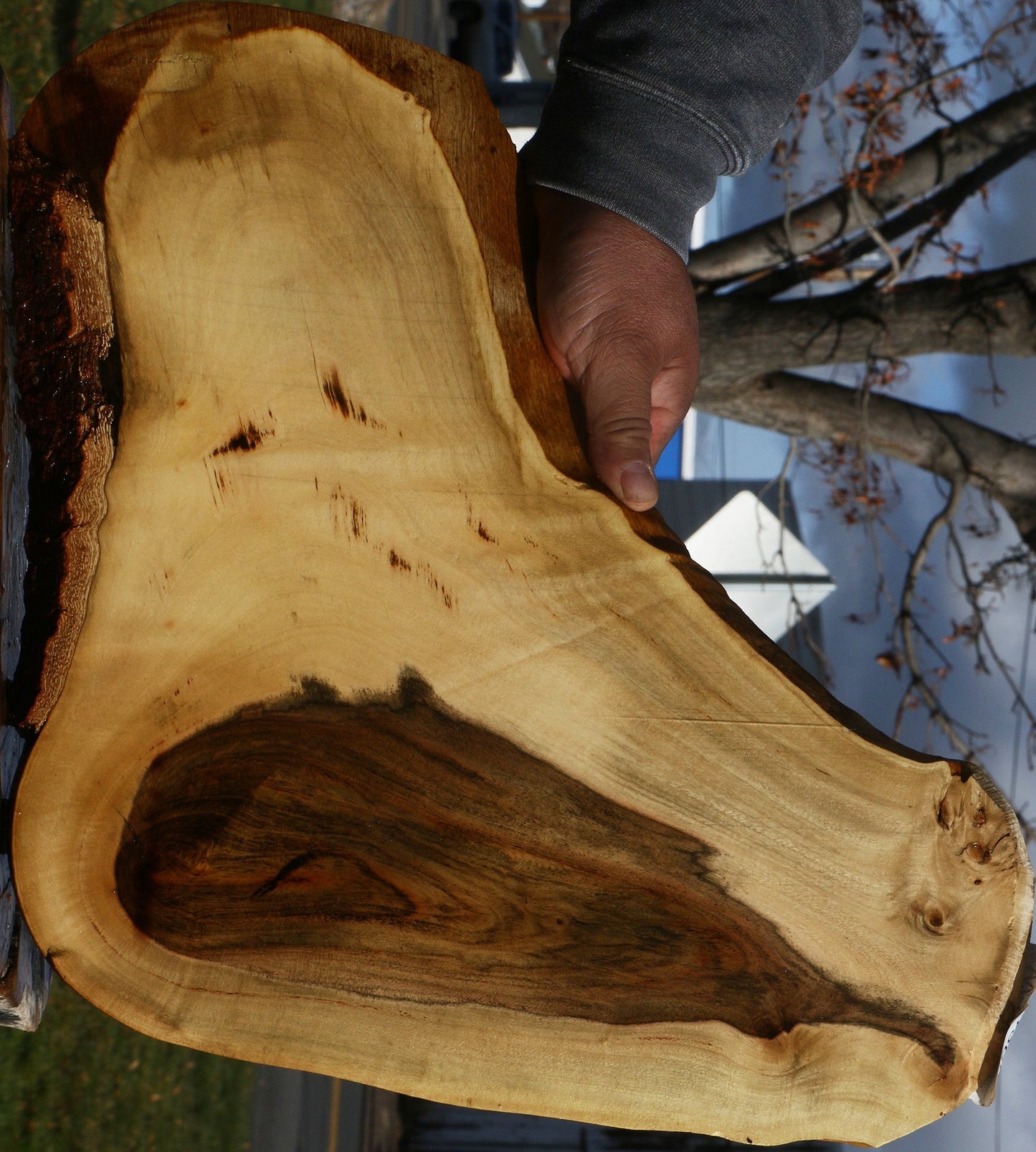 Pistachio Live Edge Lumber