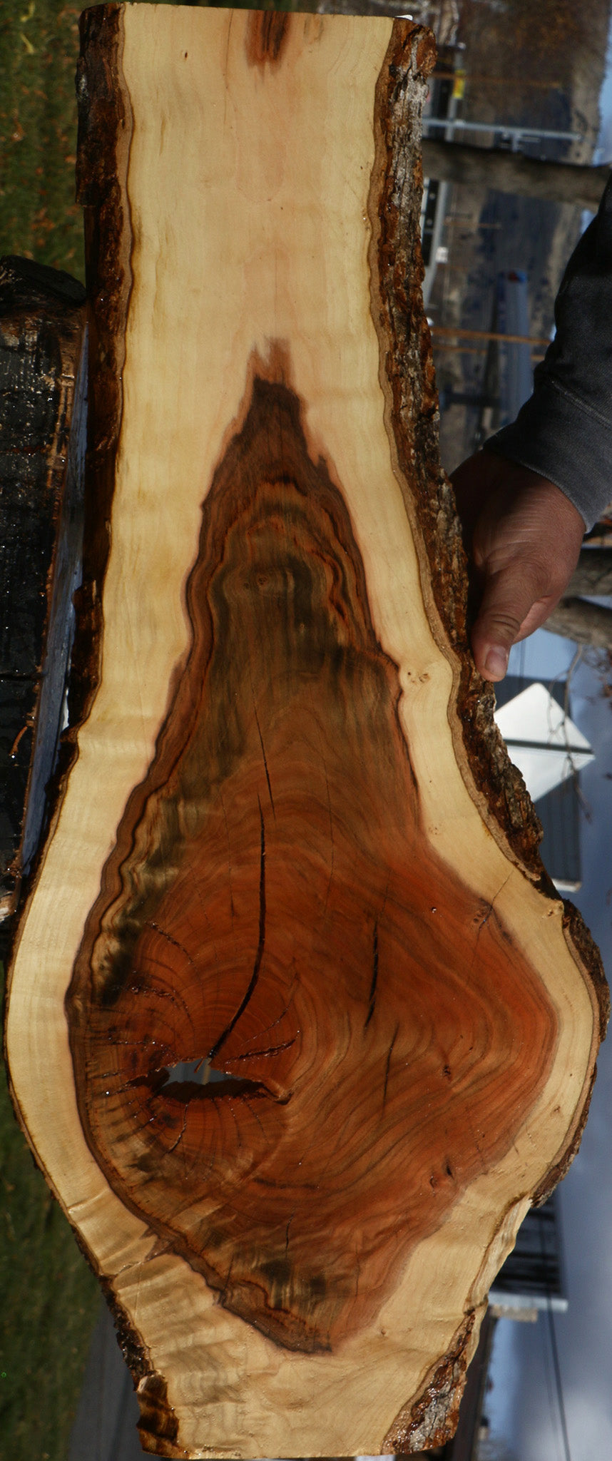 Pistachio Live Edge Lumber