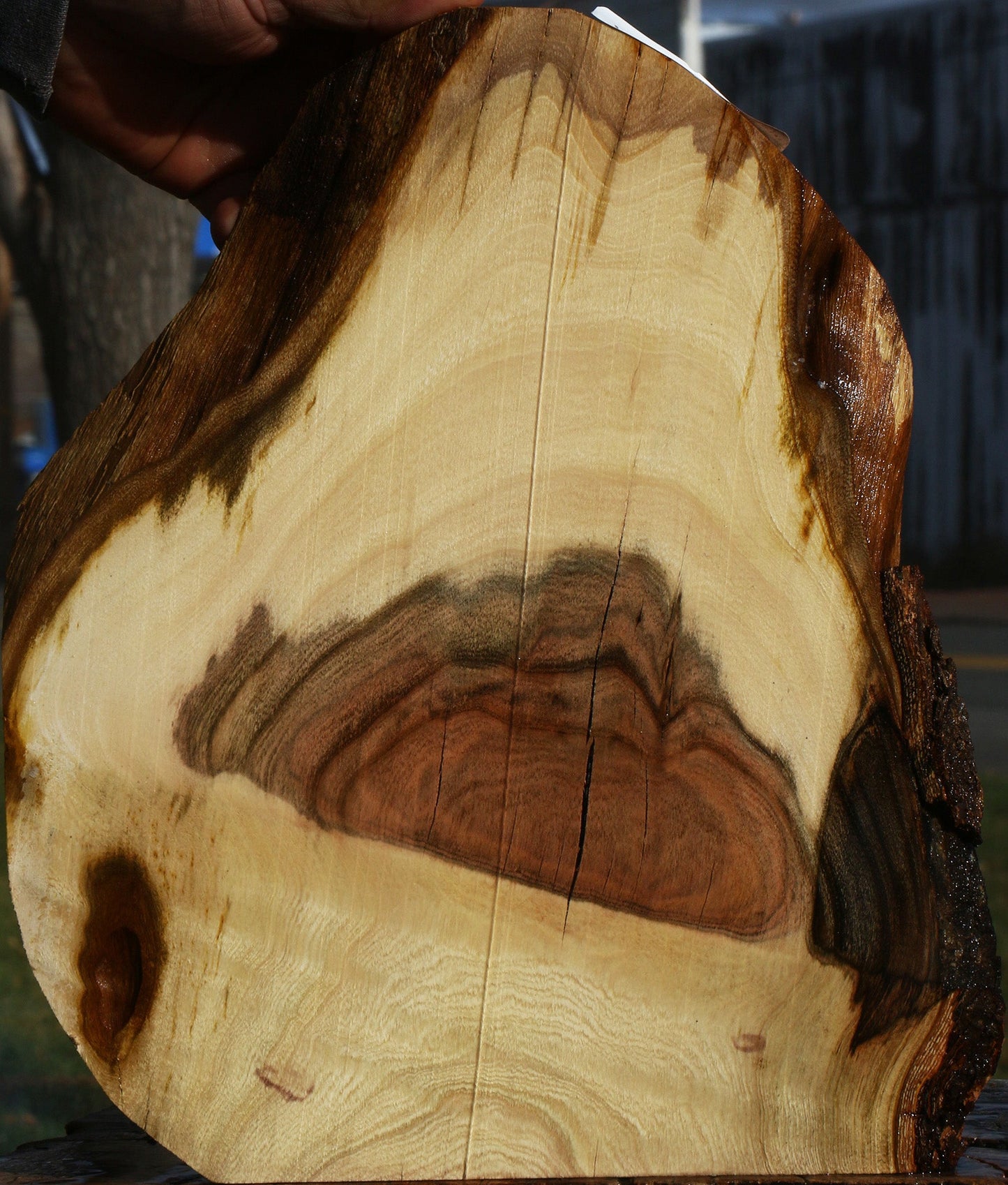 Pistachio Live Edge Lumber