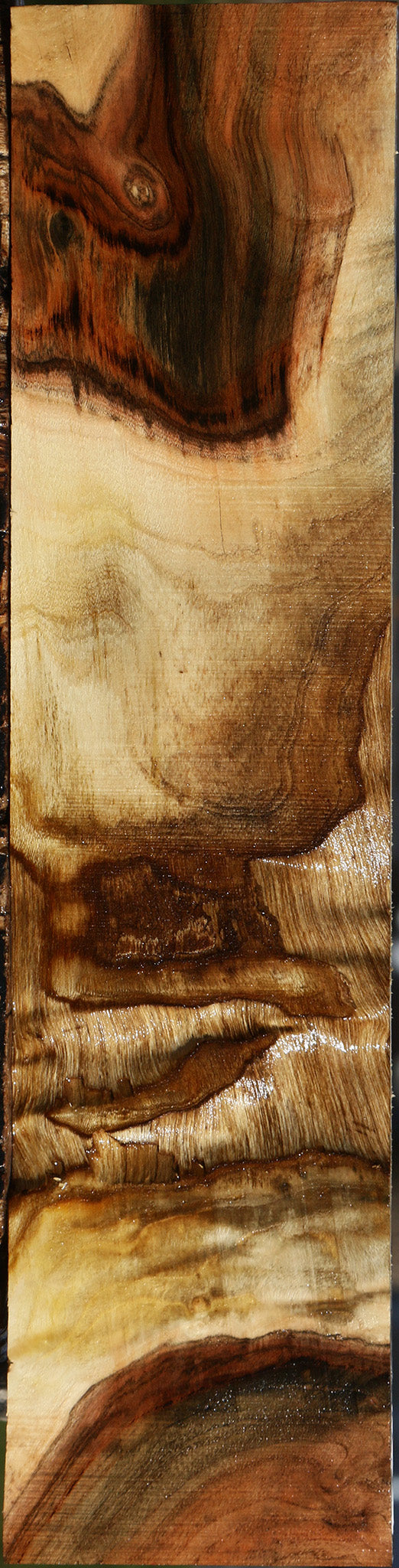 Extra Fancy Grafted Pistachio Lumber