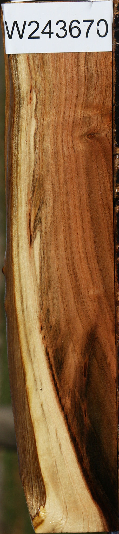 Extra Fancy Pistachio Live Edge Lumber