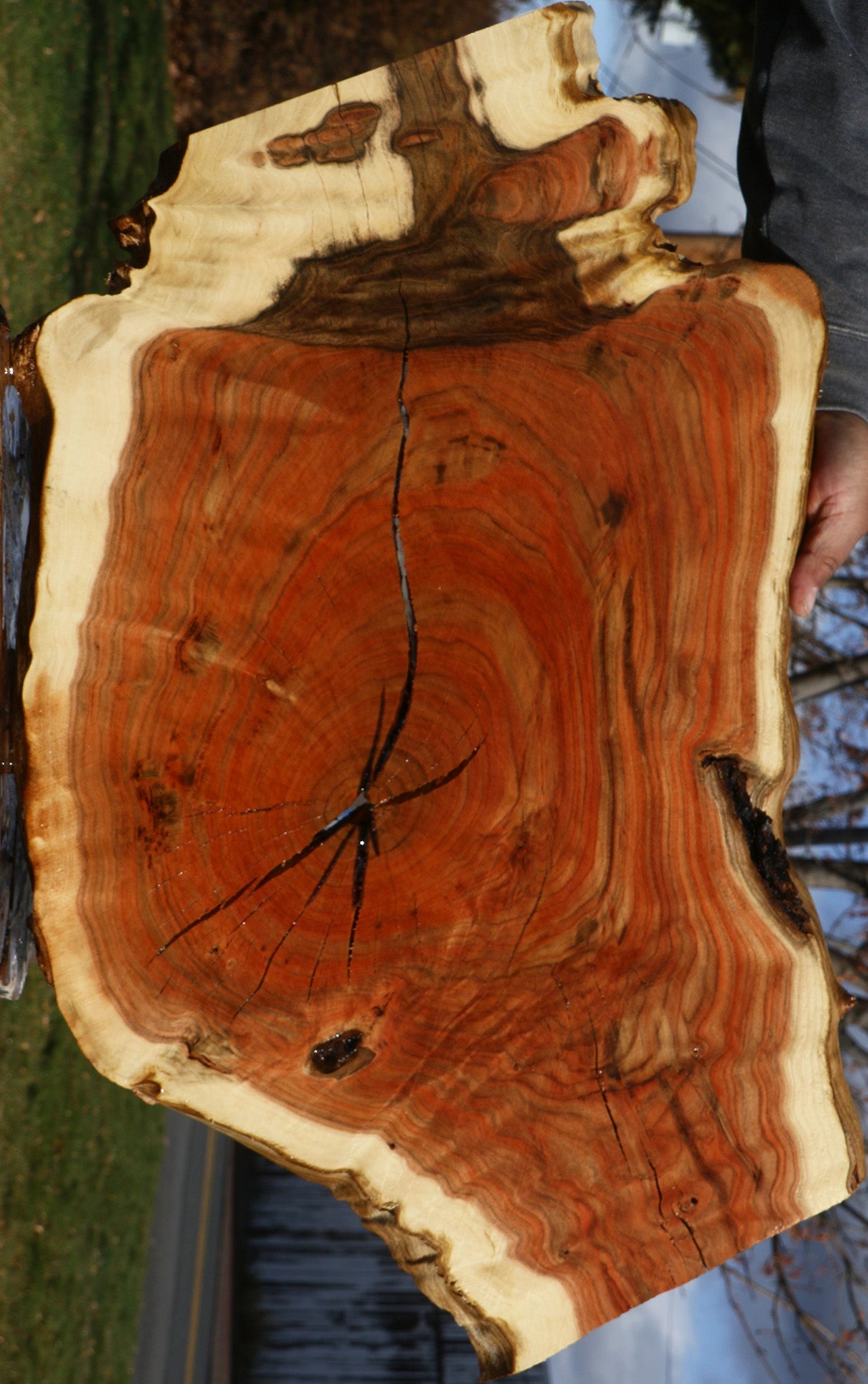 Extra Fancy Grafted Pistachio Live Edge Lumber – Cook Woods