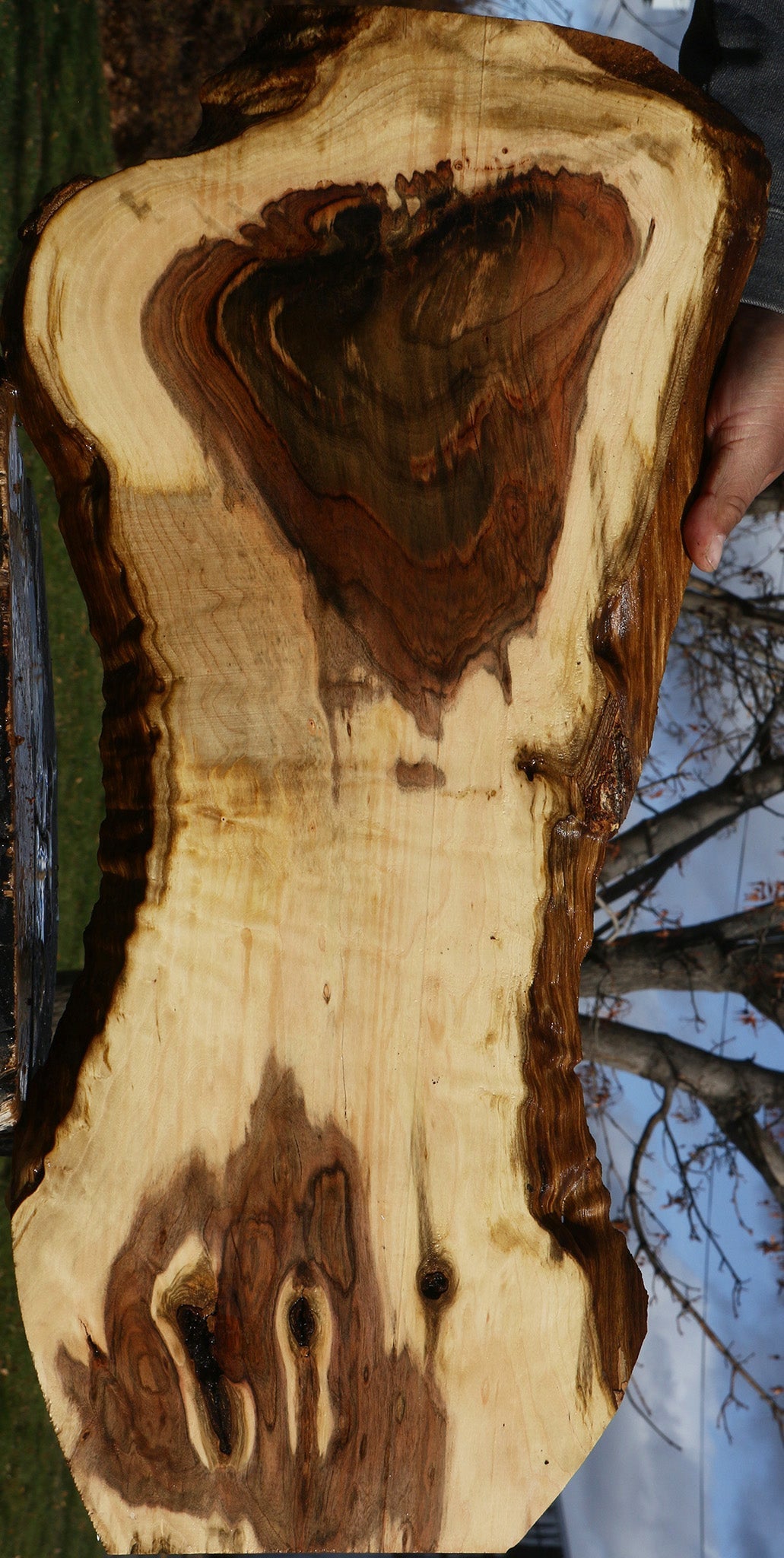 Extra Fancy Pistachio Live Edge Lumber