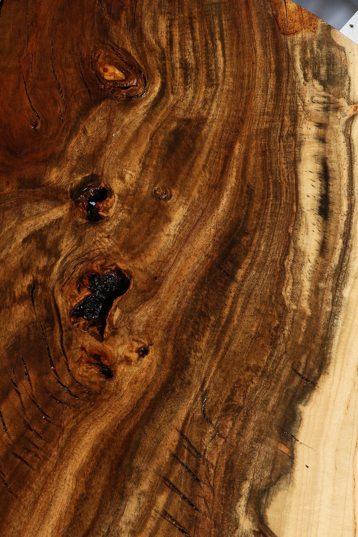 Pistachio Live Edge Lumber