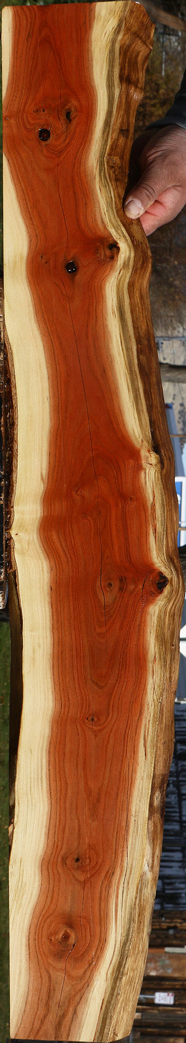Pistachio Live Edge Lumber