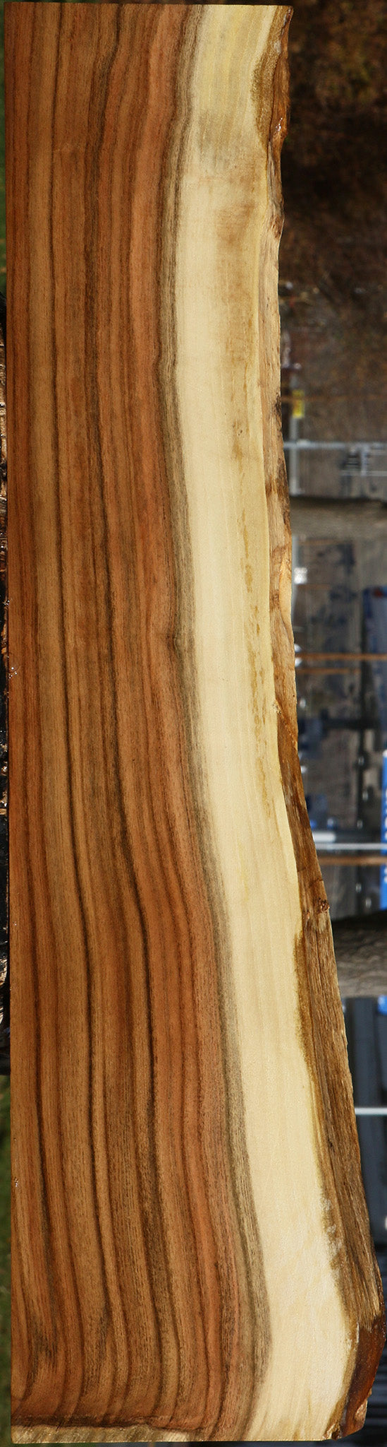 Pistachio Live Edge Lumber