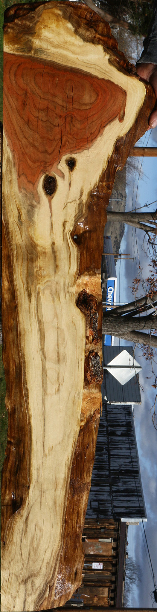 Extra Fancy Rustic Pistachio Live Edge Lumber