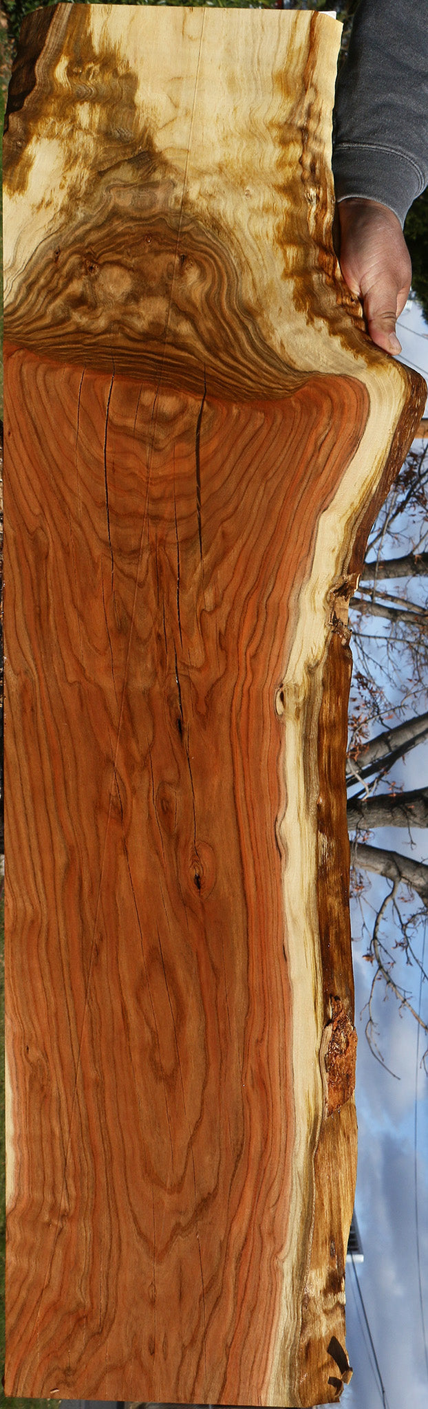 Figured Grafted Pistachio Live Edge Lumber