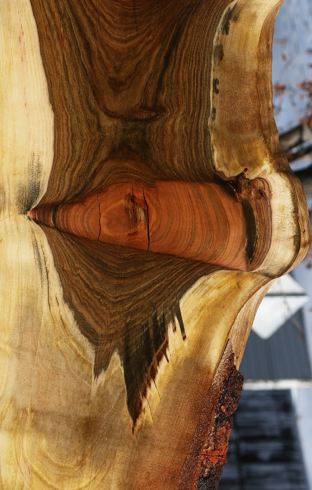 Extra Fancy Pistachio Live Edge Lumber