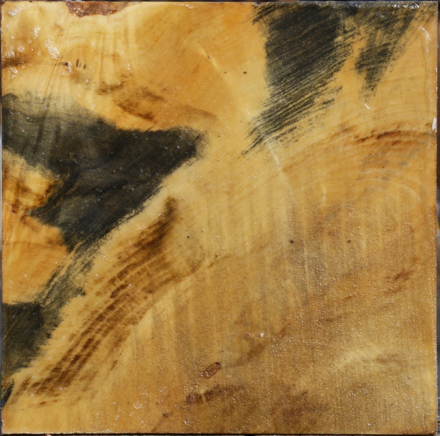 Buckeye Burl Bowl Blank