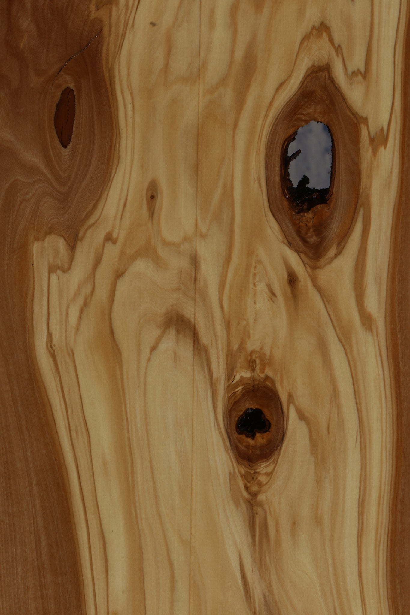 Figured Italian Olive Live Edge Lumber