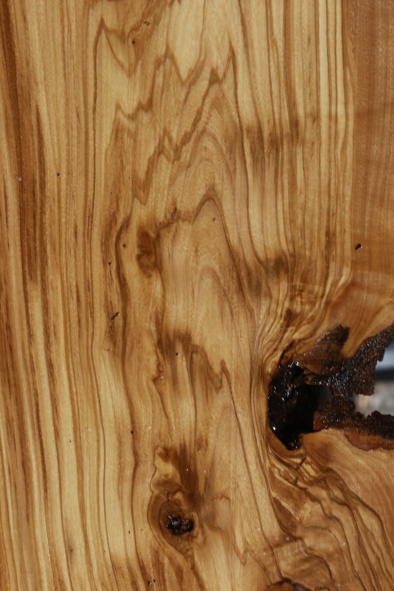 Figured Italian Olive Live Edge Lumber