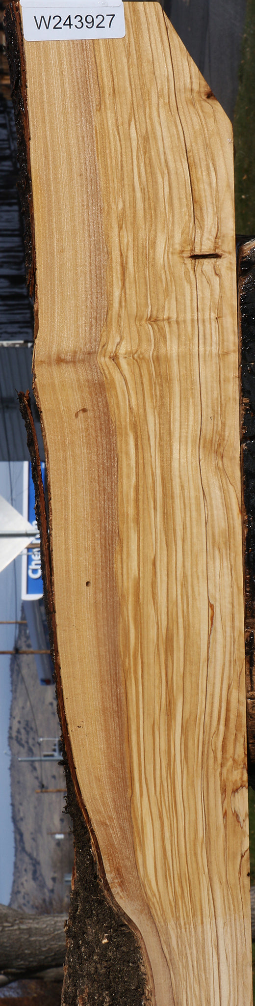 Figured Italian Olive Live Edge Lumber