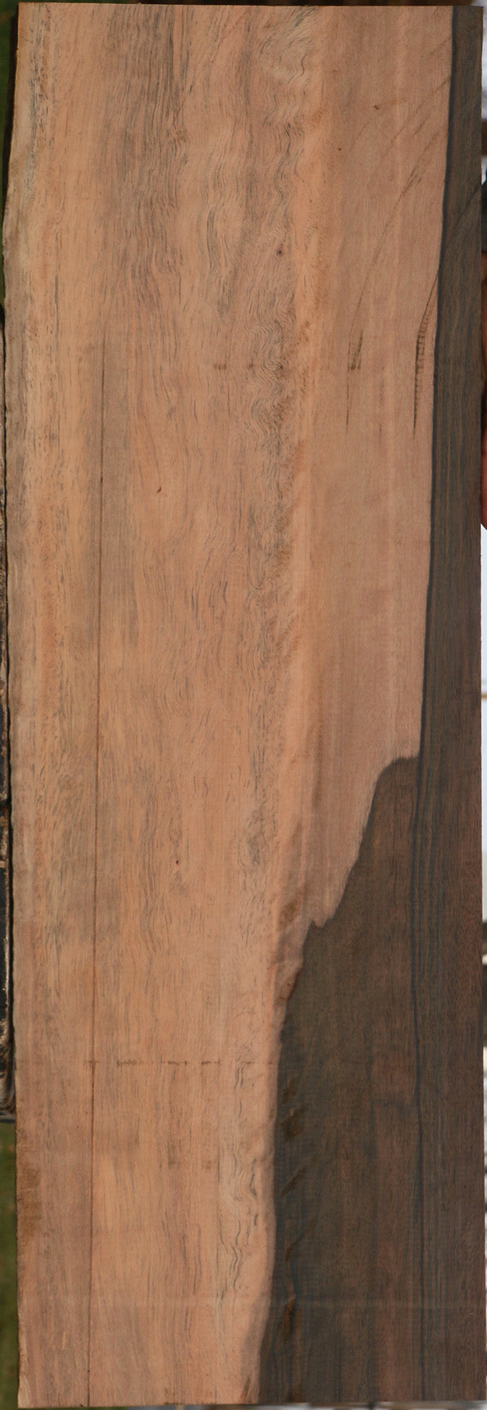 Mun Ebony Live Edge Lumber
