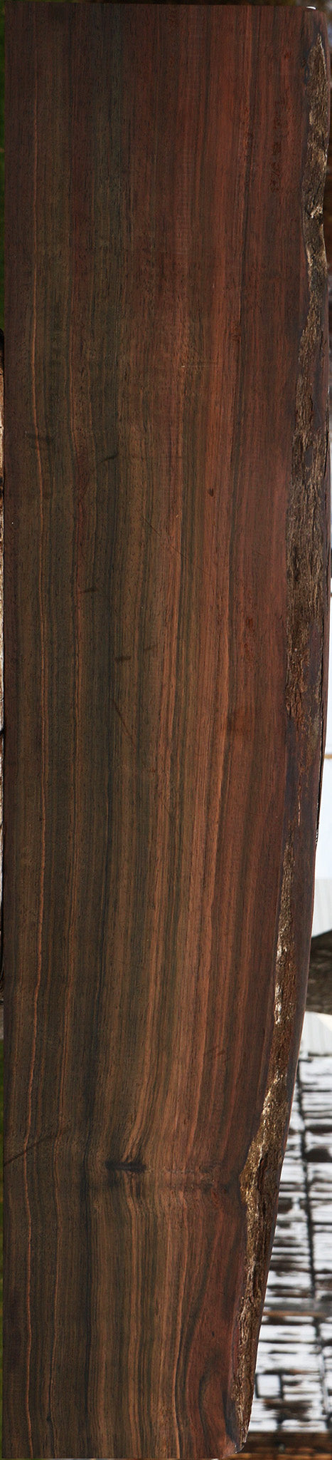 Extra Fancy Mun Ebony Live Edge Lumber