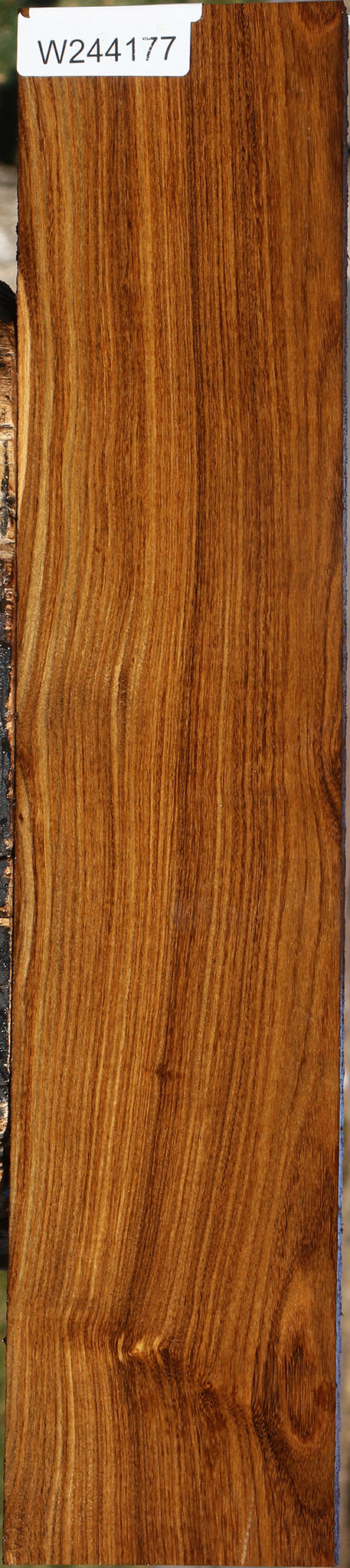 Bolivian Ebony Lumber