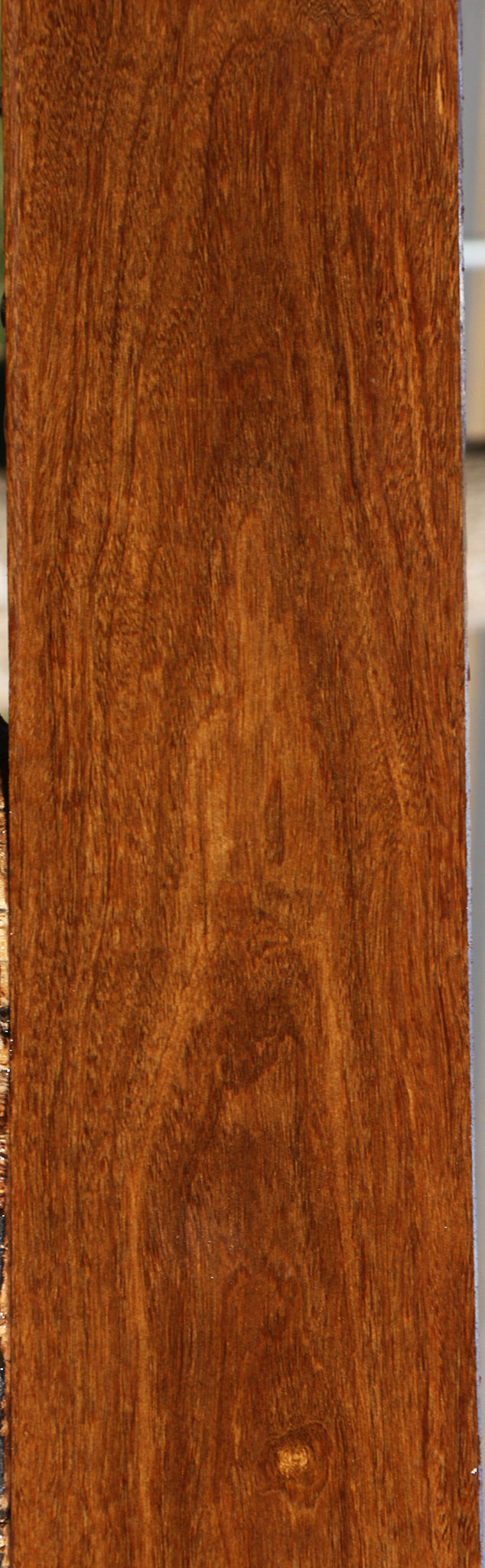 Bolivian Ebony Lumber