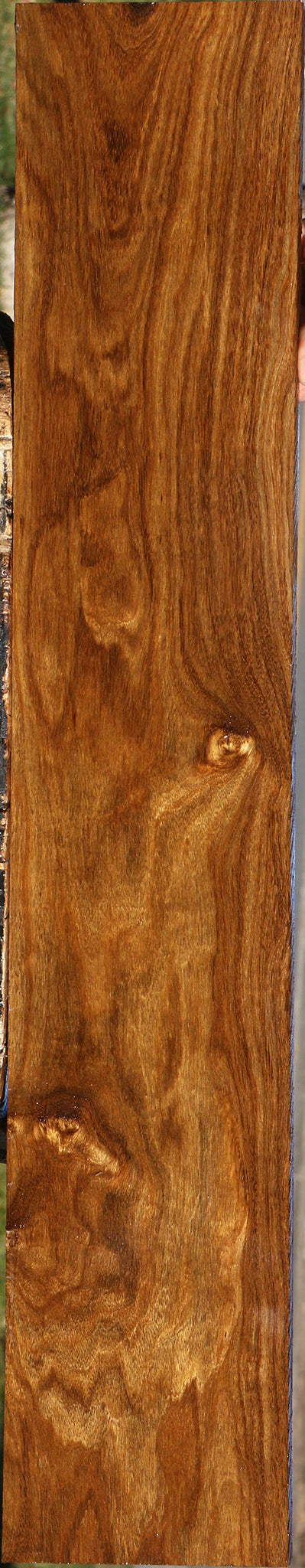 Bolivian Ebony Lumber