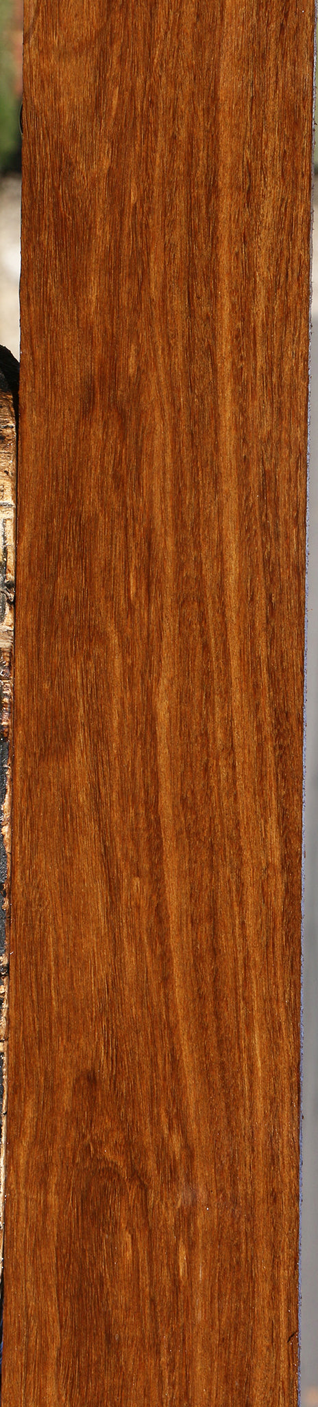 Bolivian Ebony Lumber