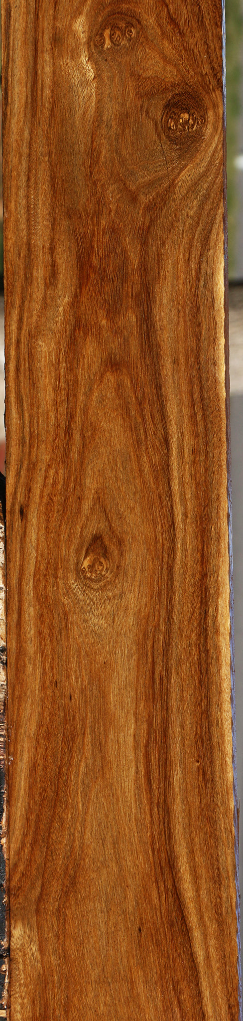 Bolivian Ebony Lumber