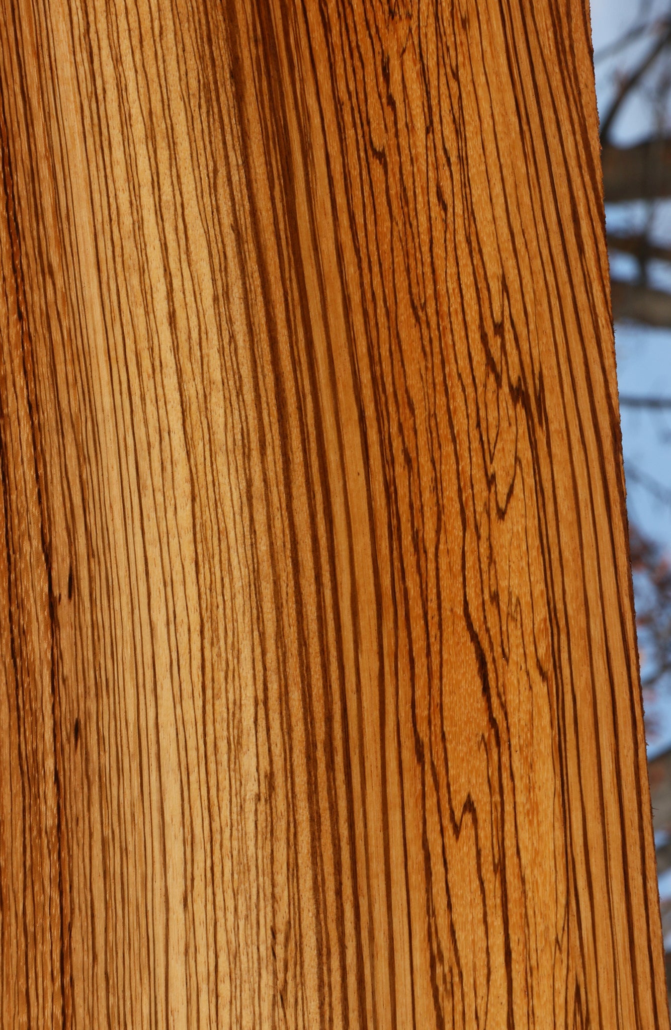 Zebrawood Lumber