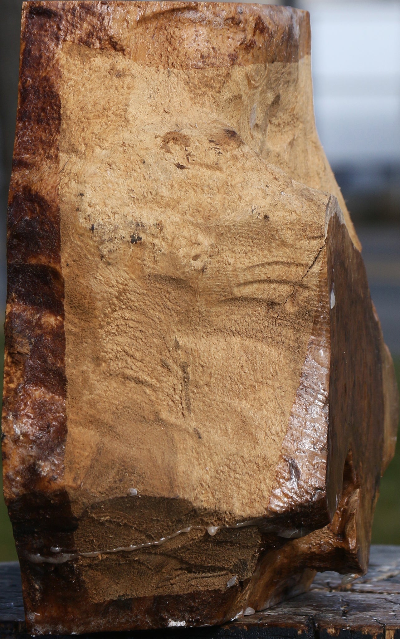 Teak Burl Live Edge Turning Blank