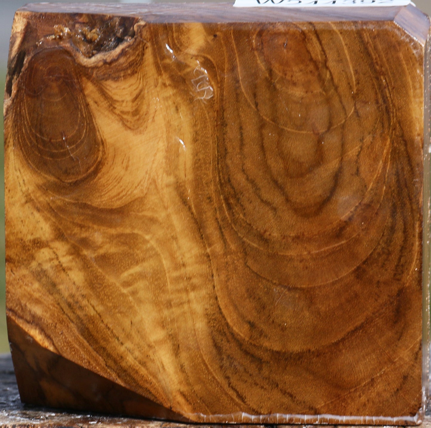 Figured Teak Bowl Blank