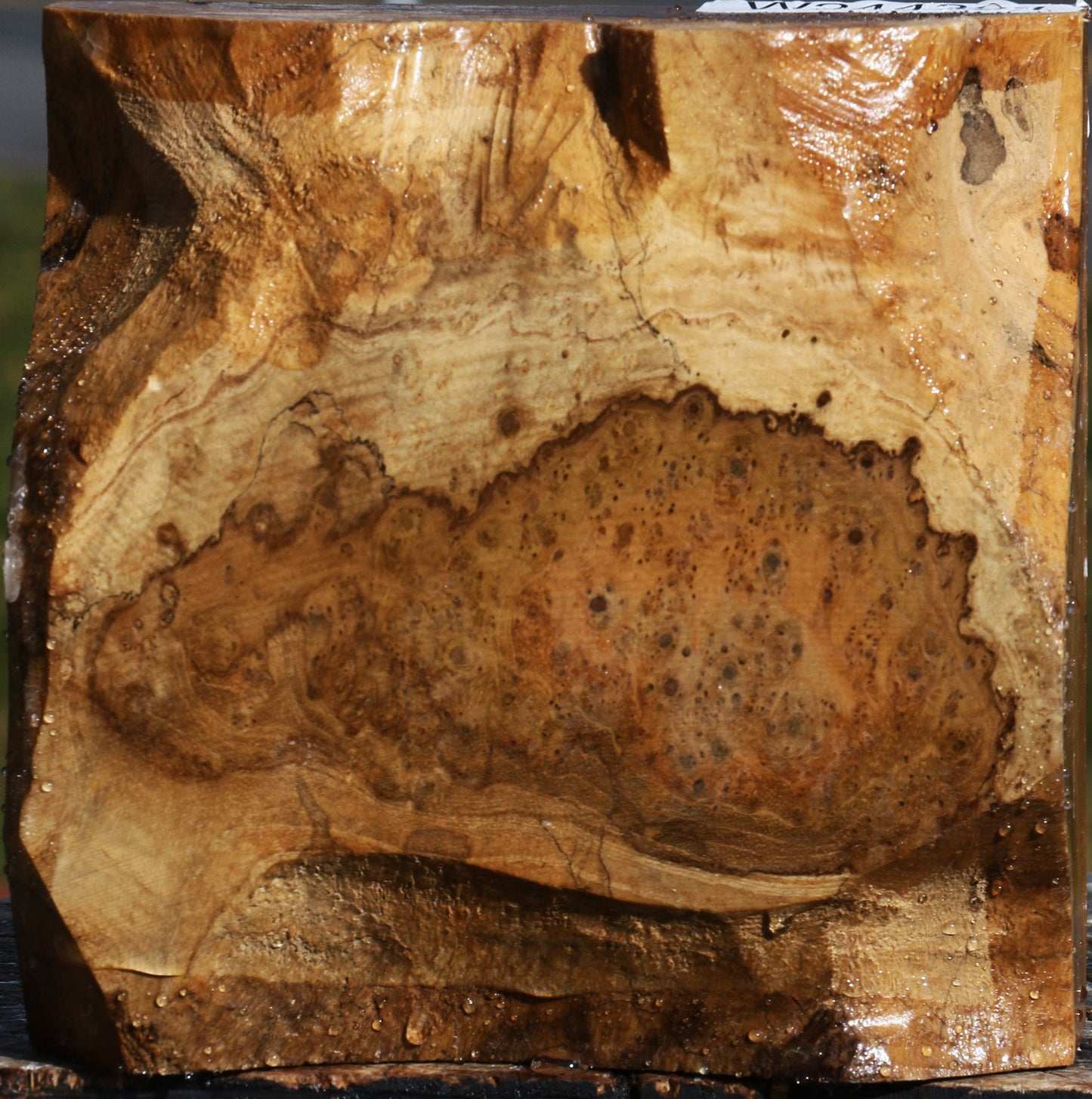 Teak Burl Live Edge Bowl Blank