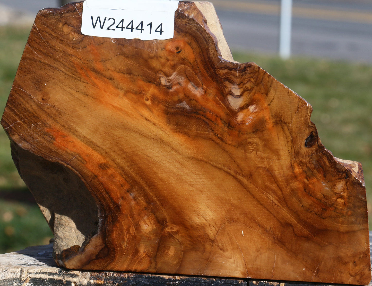 Figured Teak Live Edge Turning Blank