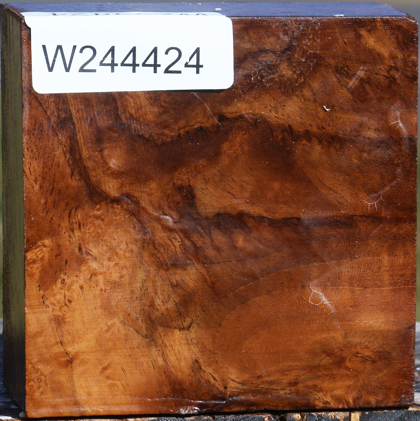 Extra Fancy Teak Bowl Blank