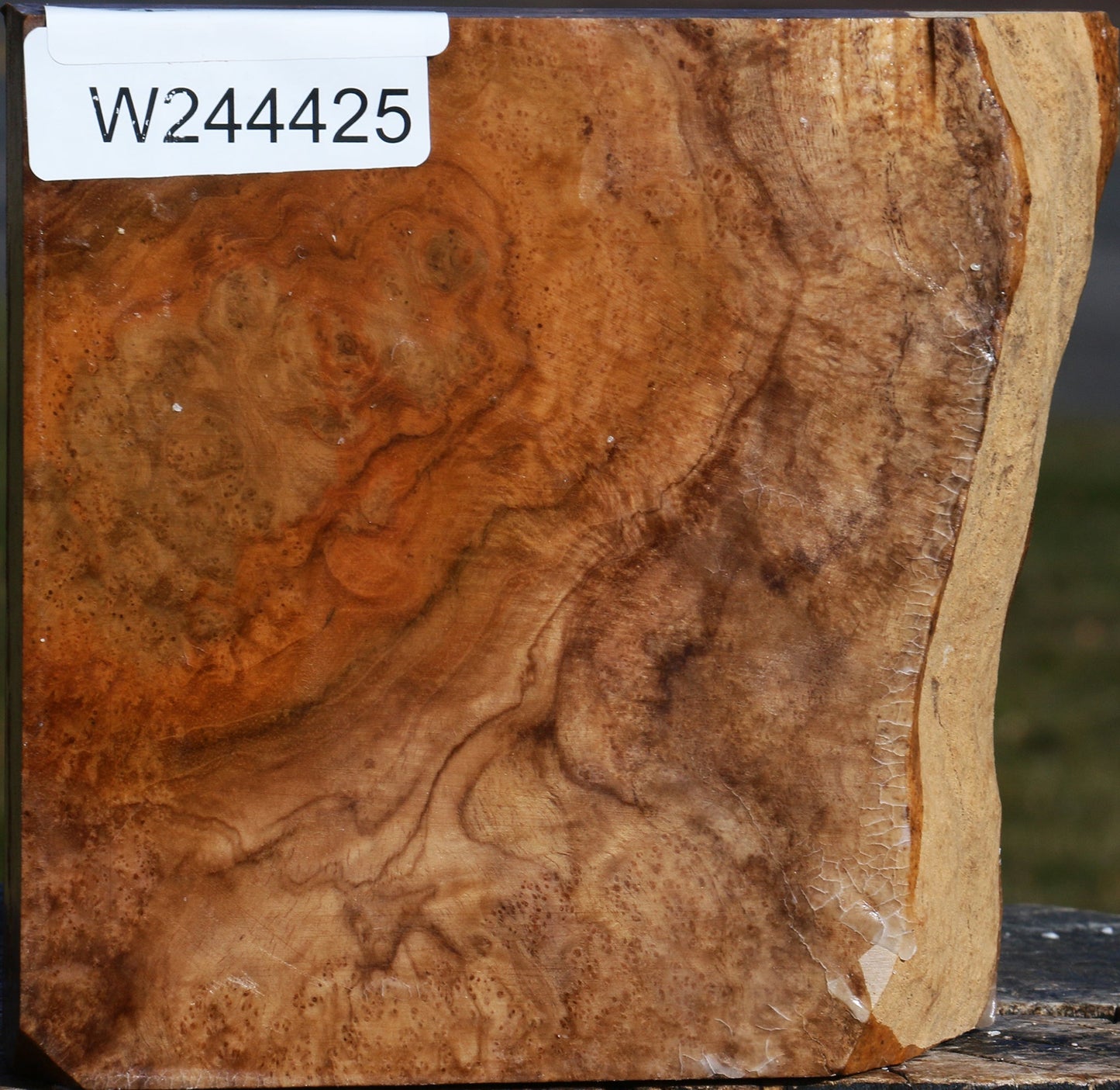 Teak Burl Live Edge Bowl Blank